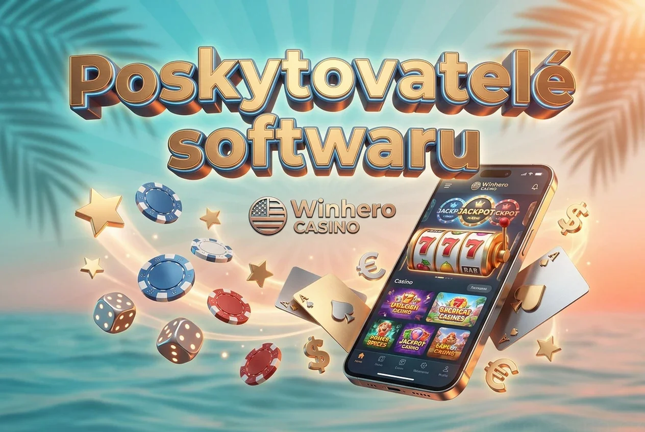 Poskytovatelé softwaru